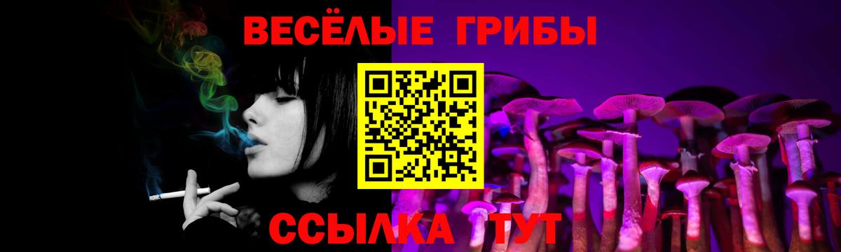 Псилоцибиновые грибы GOLDEN TEACHER Юрга